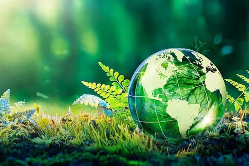 Environment and Sustainability
