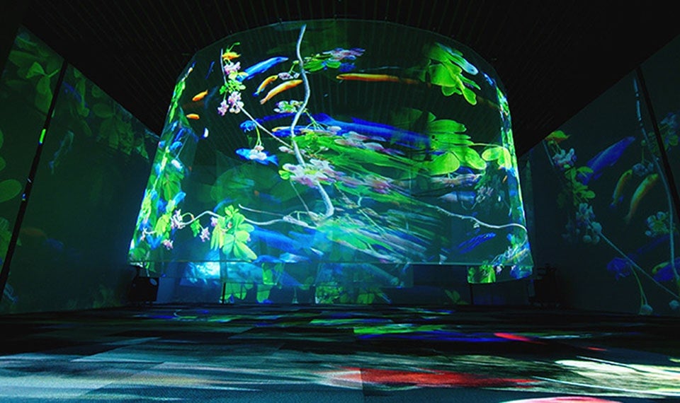 Fantas Projection, a Rich Sensory Journey of Sight, Sound, and Feeling