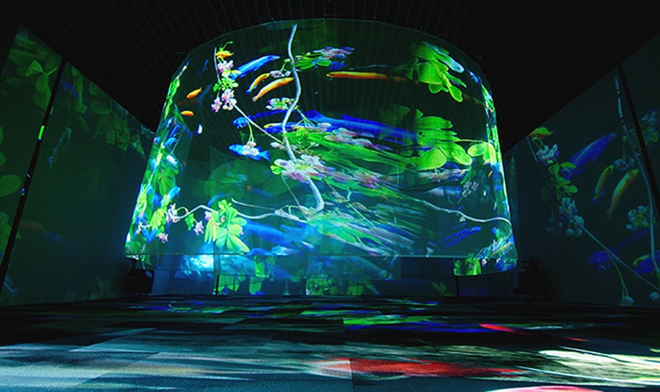 Fantas Projection, un voyage sensoriel riche en images, en sons et en émotions.