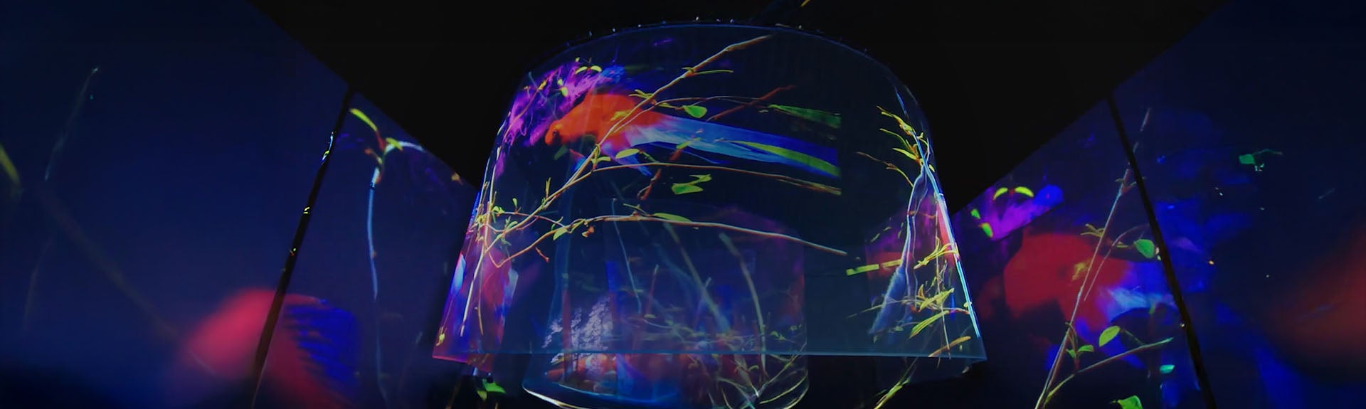 Local activities, global impact.