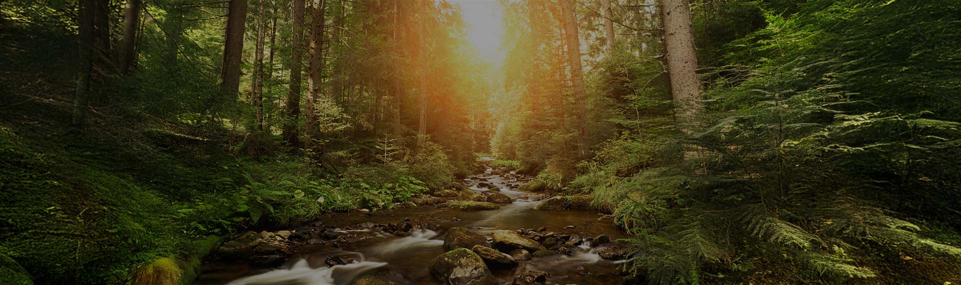 100% recyclable materials by 2050 — an obligation we embrace.