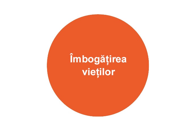 Îmbogățirea vieților
