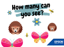 How many can you see?