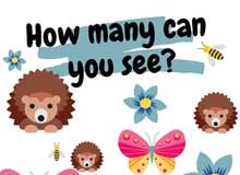 How many can you see