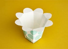 Popcorn Buckets