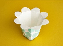 Popcorn Buckets