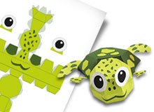 3D turtle