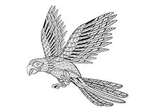 Parrot