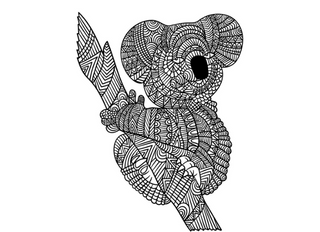 Koala colouring in