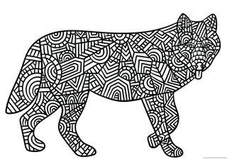 Wolf colouring in