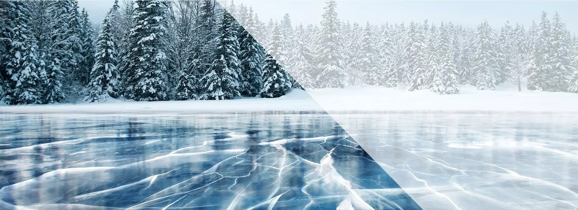 icelake