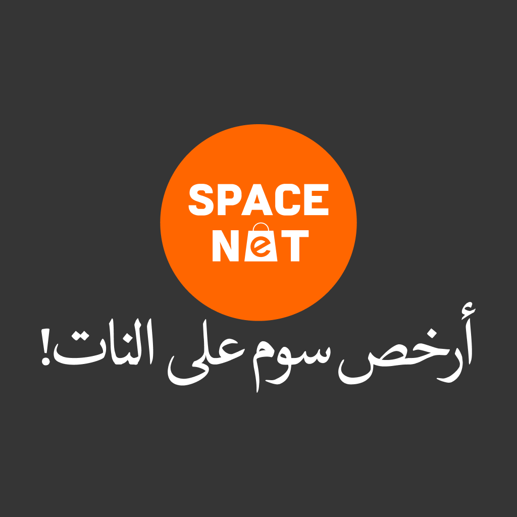 SPACE NET logo