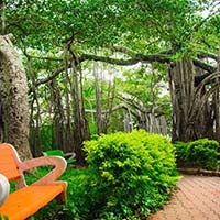 https://cdn-eu.aglty.io/sunstoneuniversity/Attachments/NewItems/sgi-03_20230222081609_0.jpg