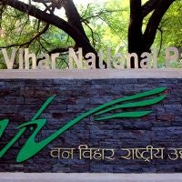 https://cdn-eu.aglty.io/sunstoneuniversity/Attachments/NewItems/van-vihar-national-park-bhopal25-1-compressed_20230221224150_0.jpg